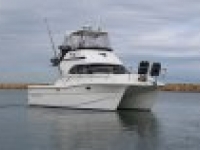 2009 Markham 9800 Powercat for sale in Perth, WA (ID-204)