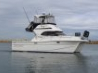 2009 Markham 9800 Powercat for sale in Perth, WA (ID-204)