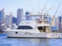 2010 Riviera 56 Open for sale in Sydney, NSW (ID-151)